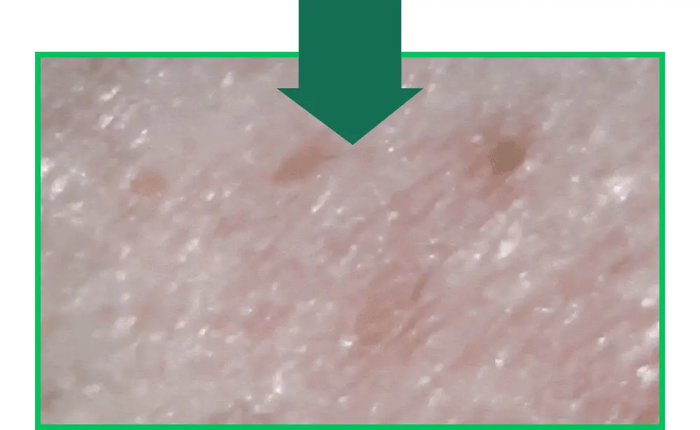 [말끔모공/블랙헤드] 성분에디터 그린토마토 모공 클렌징 오일 200ml 상세페이지 9